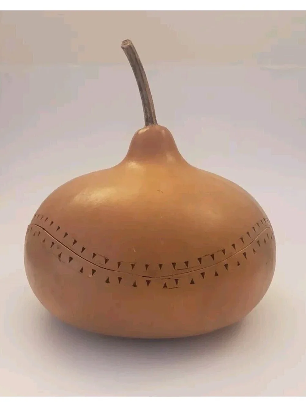 Natural Gourd Carved Dried Canteen Bushel Basket Art Etched Fall Halloween Decor